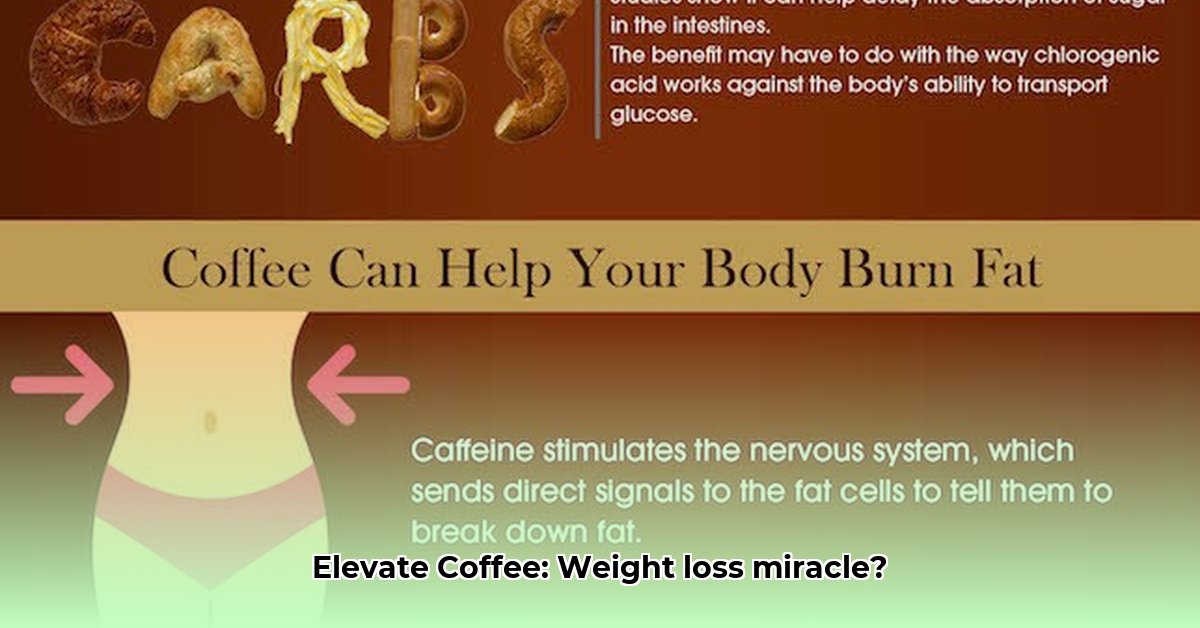 elevate-coffee-weight-loss